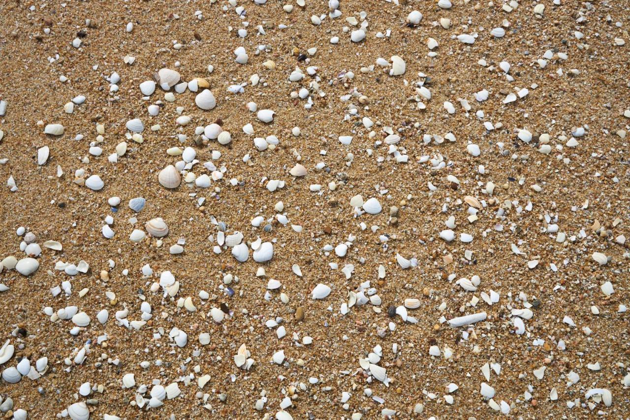 Apart@Costasantoandre Beach Santiago do Cacém Exteriör bild